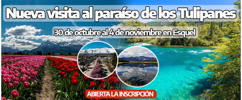 Volvemos a maravillarnos con los tulipanes en Esquel
